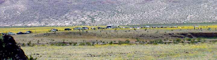 Death valley with flowers in bloom and crowded with people
